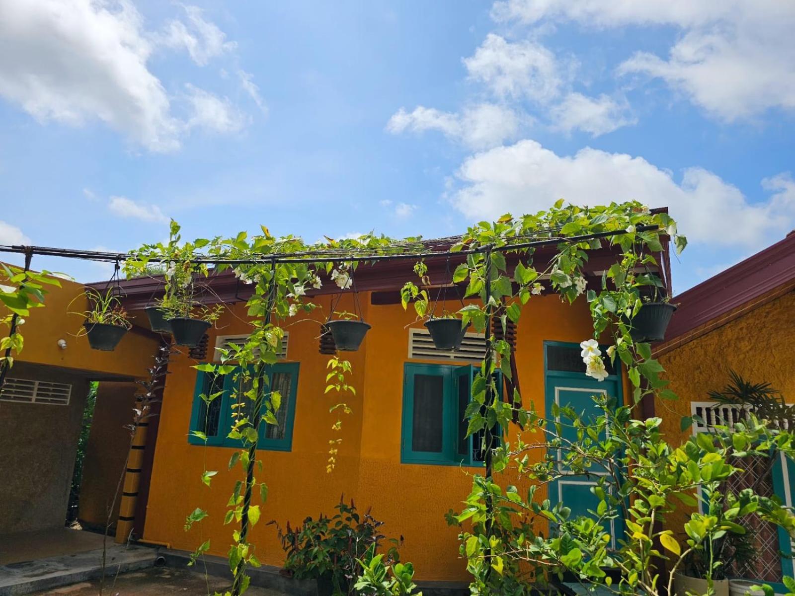 Bed and Breakfast Optimum Residencies Негомбо Екстер'єр фото